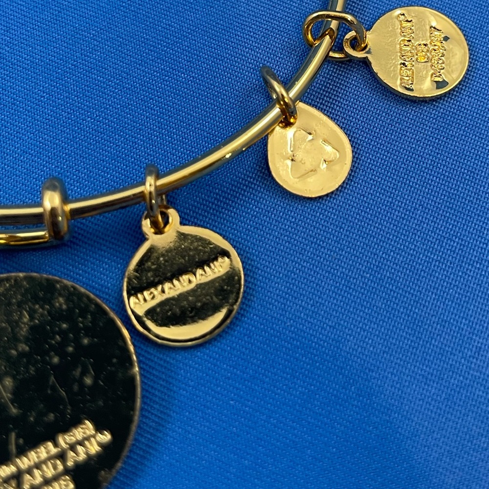 Alex and Ani Harry Potter ‘Dobby is Free’ shiny gold finish bangle bracelet - Picture 6 of 6